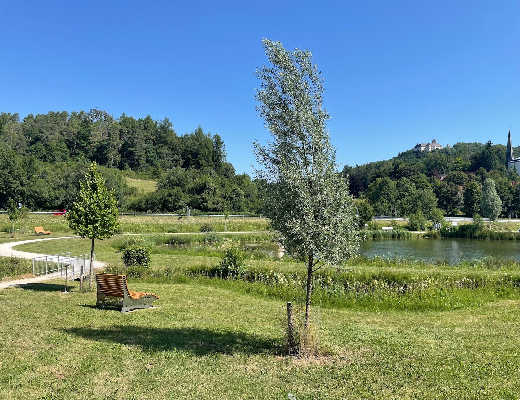 Foto Heiligenstädter See Sommer 3 _ Quelle LAG Region Bamberg